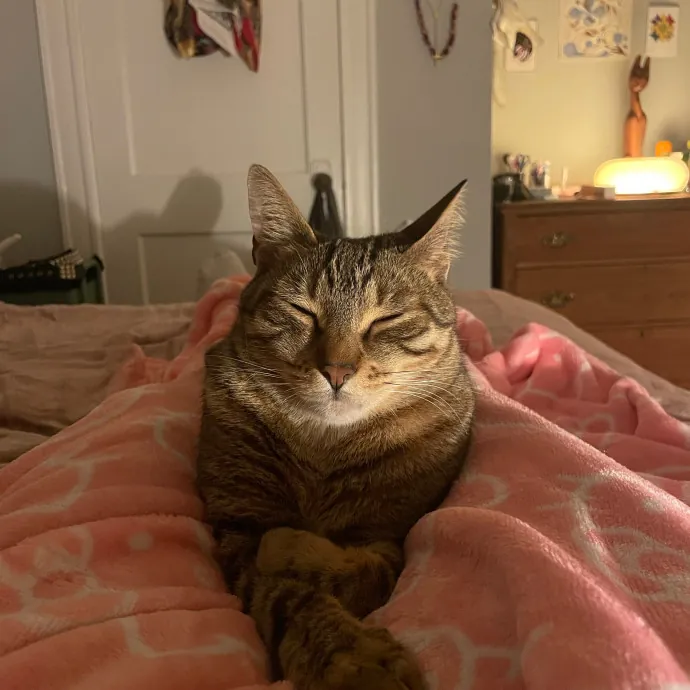 Mia L.