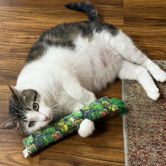 The Purrfect Cat Sitter For You