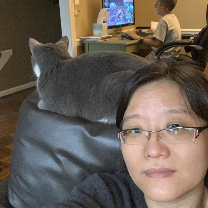 Professor And Reliable Cat Sitter photo 3