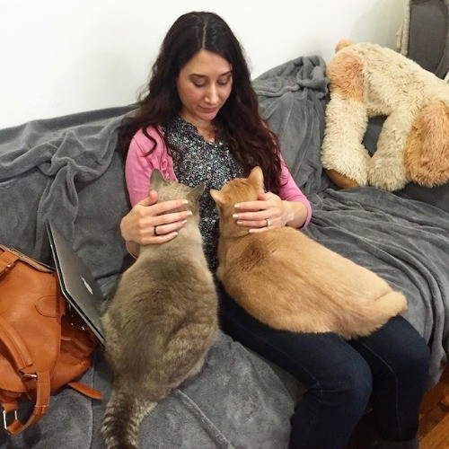 Cat Care Nerd photo 3