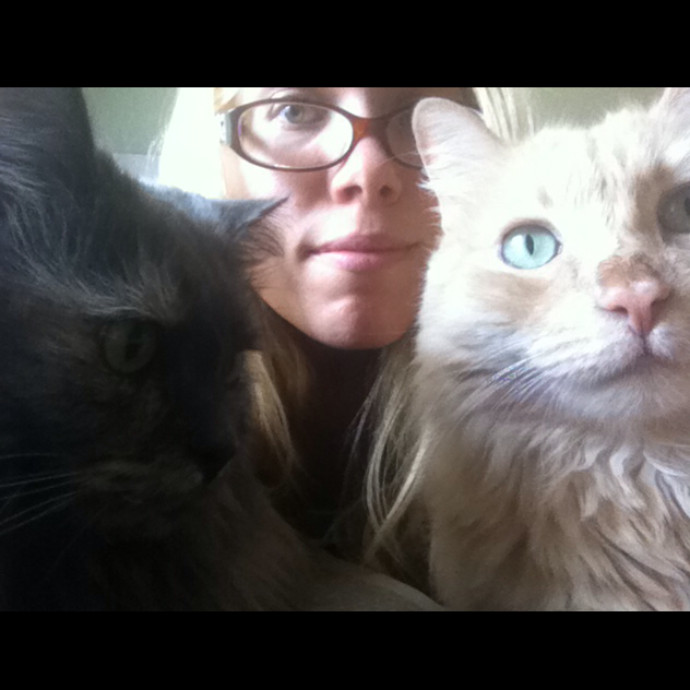 Purr City Kitty Sitting