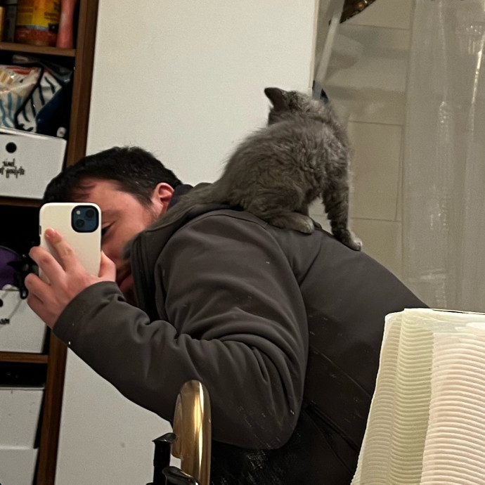 Lifelong Cat Loaf Lover