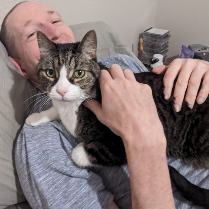 Cat Lover photo 3