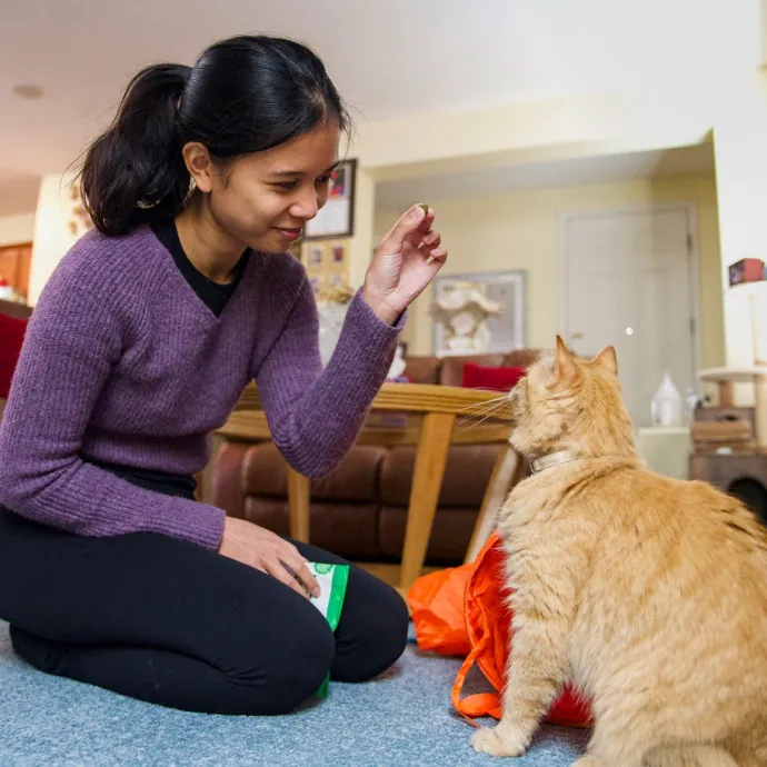 Careful Caring Kitty Caretaker