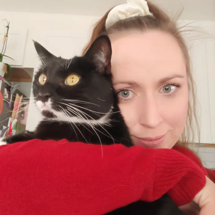 Your Kitties New Best Friend photo 3