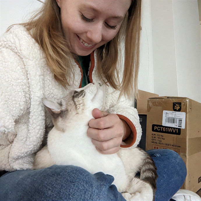 Alayna's Paw-Some Cat Sitting