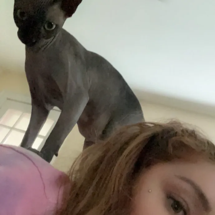 Loving Reliable Cat Care