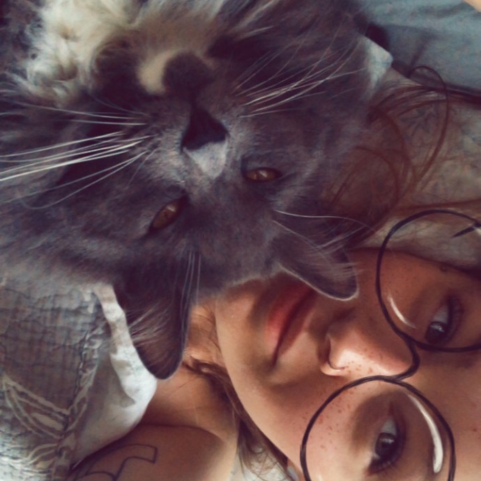 Loving Reliable Cat Care