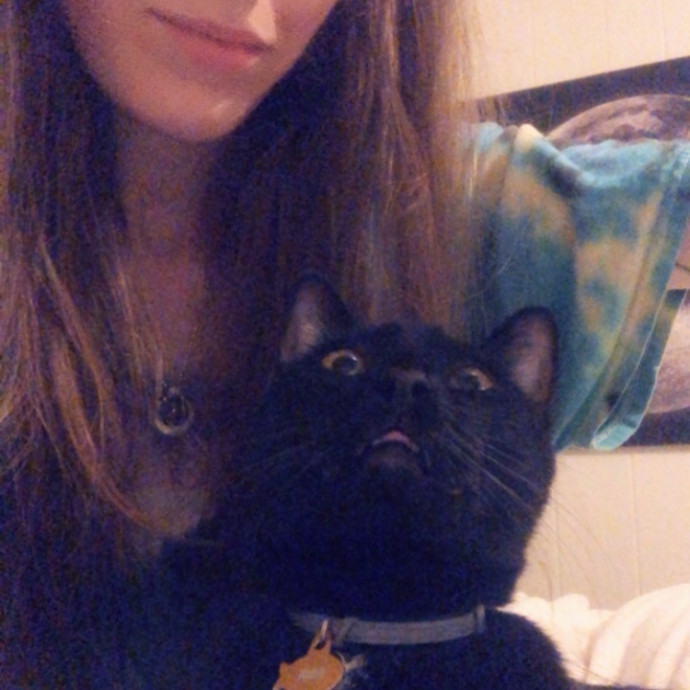 Loving Reliable Cat Care