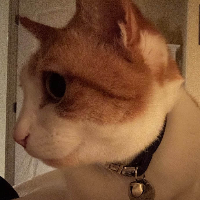 April's Loving Cat Care