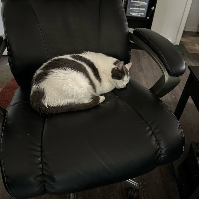 April's Loving Cat Care