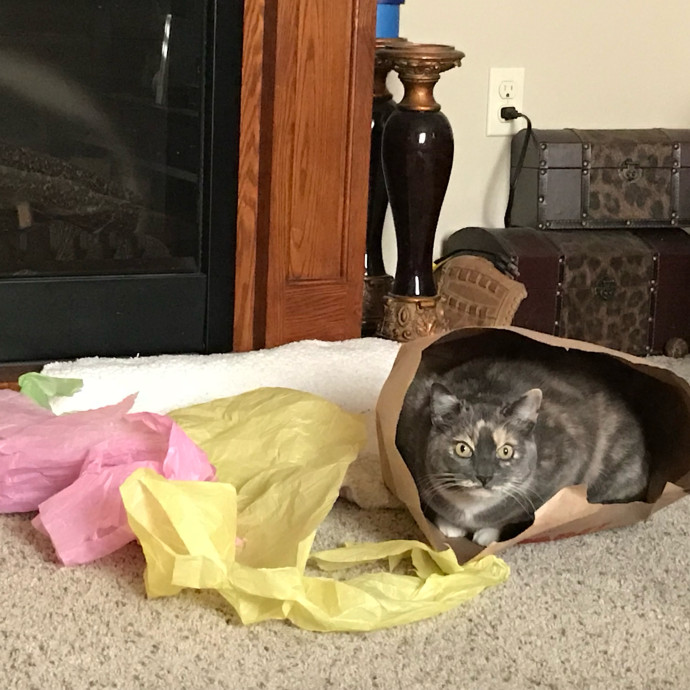April's Loving Cat Care