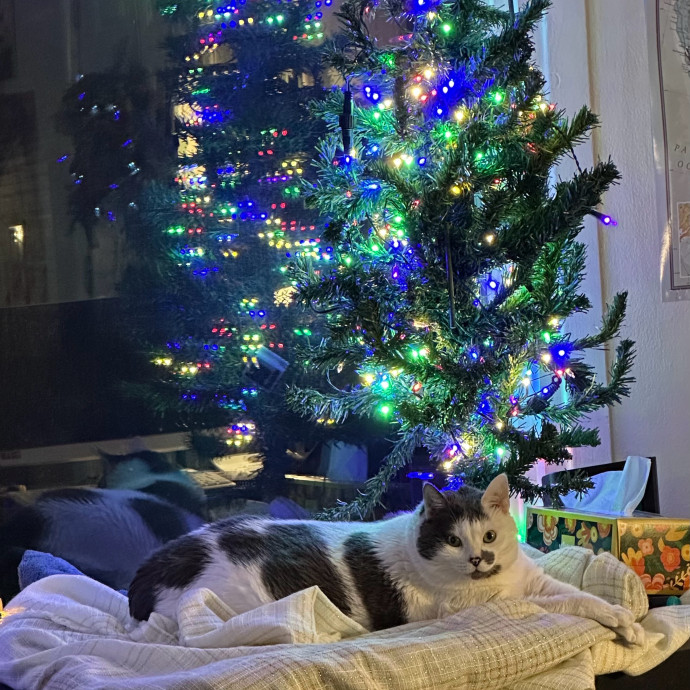April's Loving Cat Care