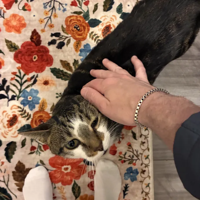 Chadwick's Sitter Services