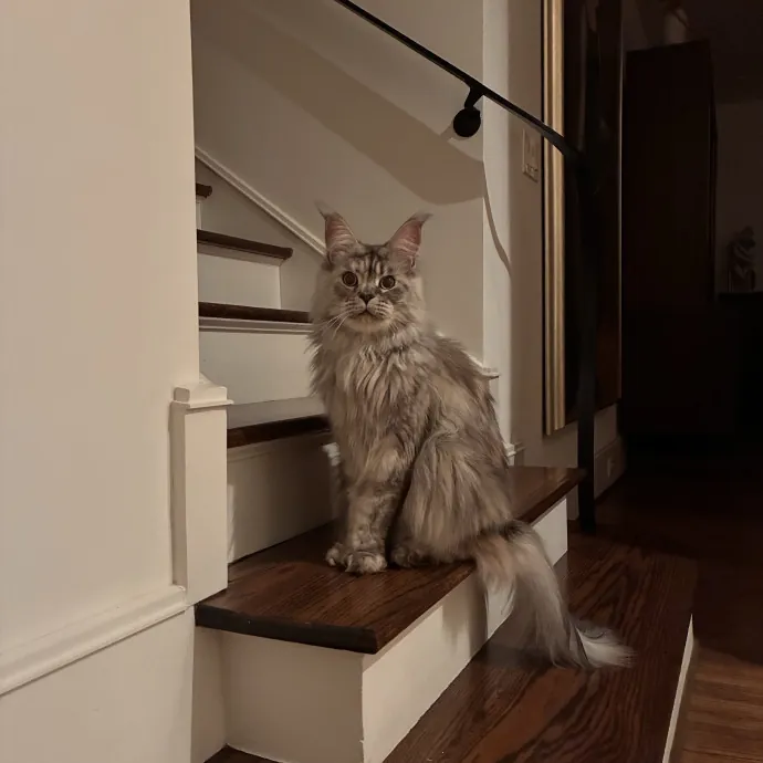 Chadwick's Sitter Services