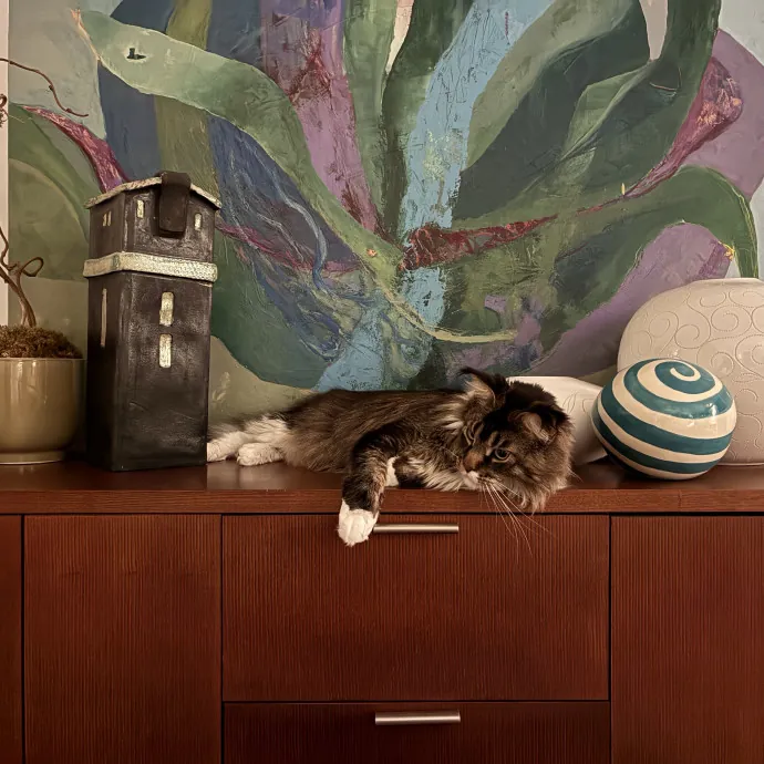 Chadwick's Sitter Services