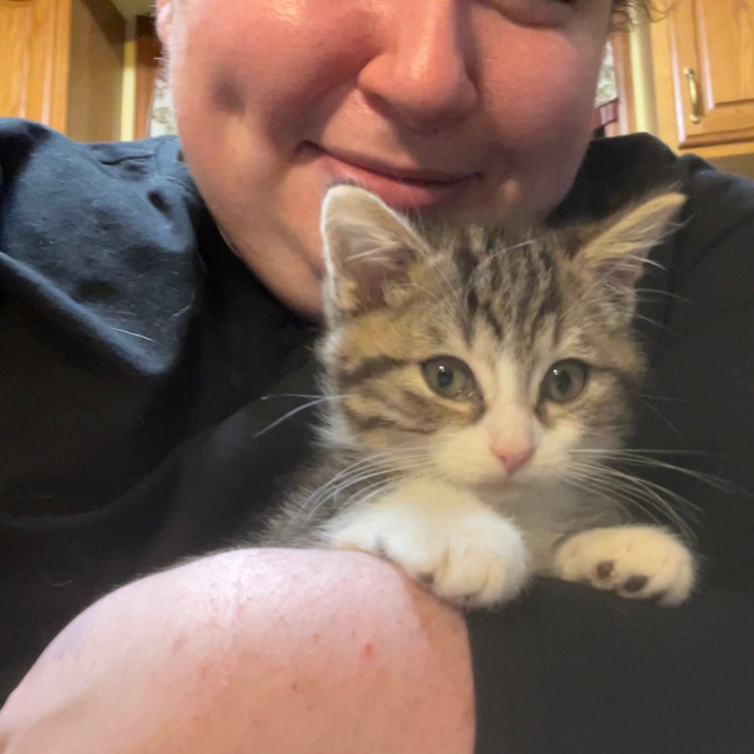 Ariel The Cat Whisperer