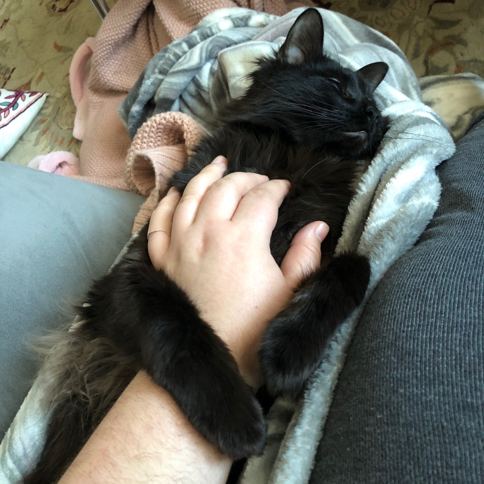 Ariel The Cat Whisperer