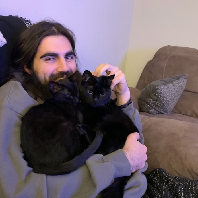 Kitty Companion  Caretaker