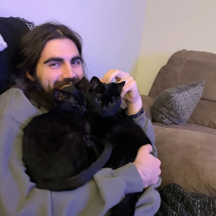 Kitty Companion  Cat Care Specialist
