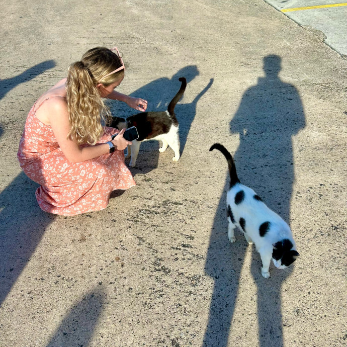 Fur-Endly  Loving Cat Sitter