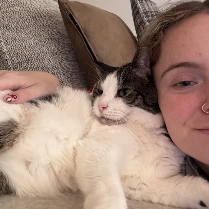 Fur-Endly  Loving Cat Sitter