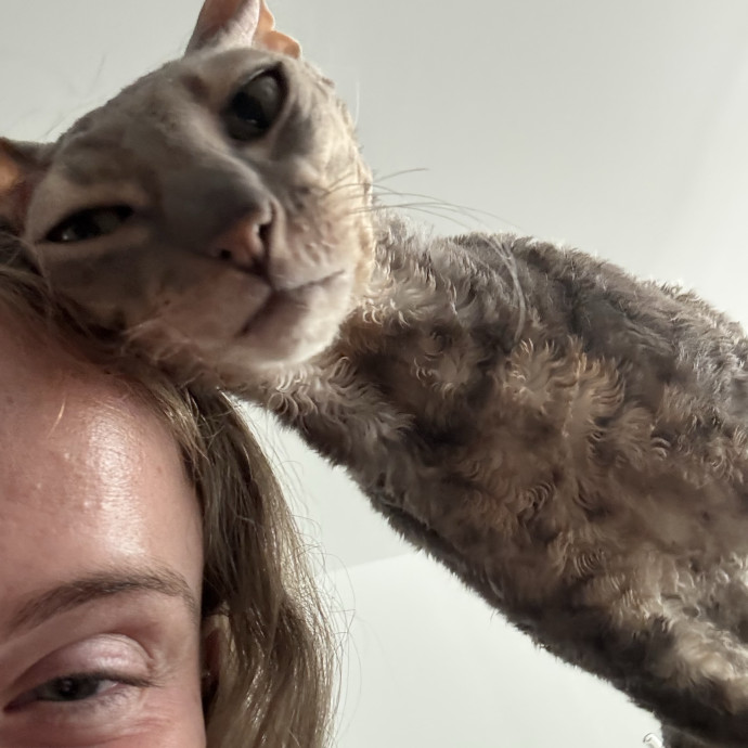 Fur-Endly  Loving Cat Sitter photo 3