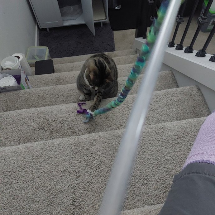 Fur Mom And Reviewed Cat Whisperer