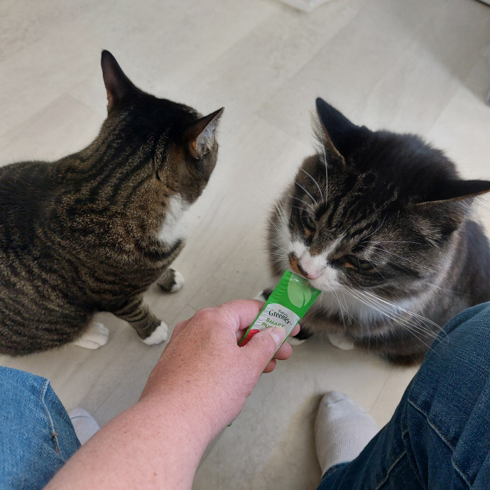 Fur Mom And Reviewed Cat Whisperer