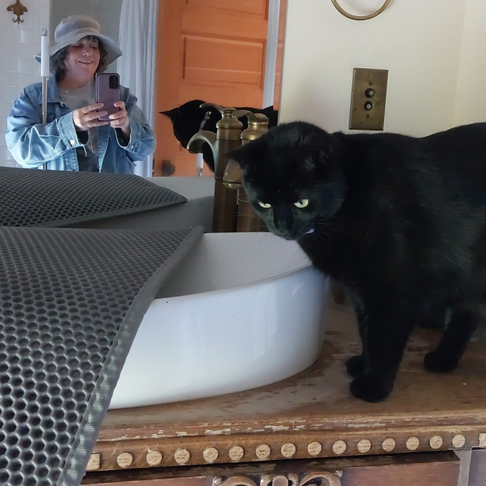 Fur Mom And Reviewed Cat Whisperer