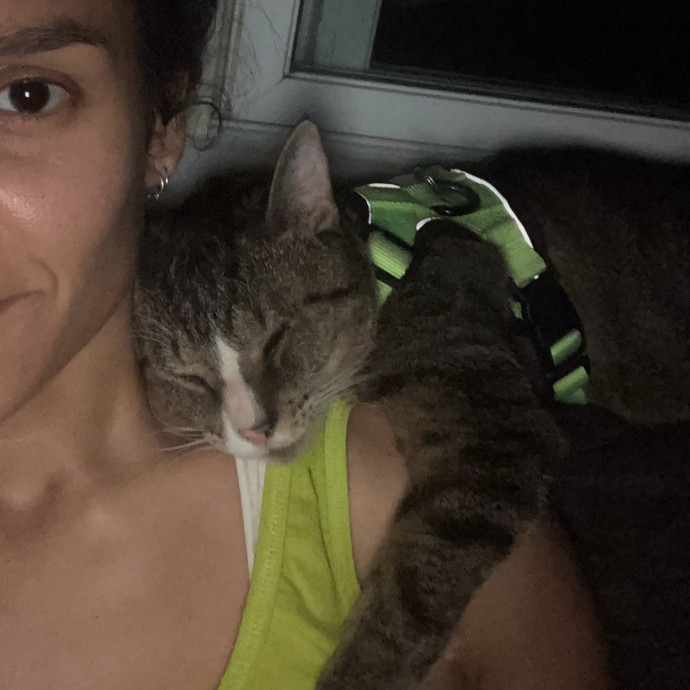 Your Cat's New Favorite Human photo 2