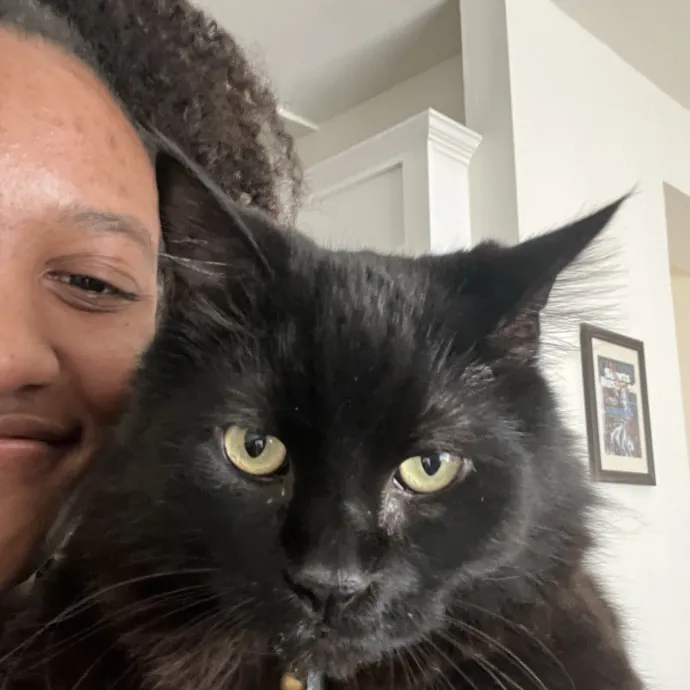 Loving Cat Mom Cat Caregiver