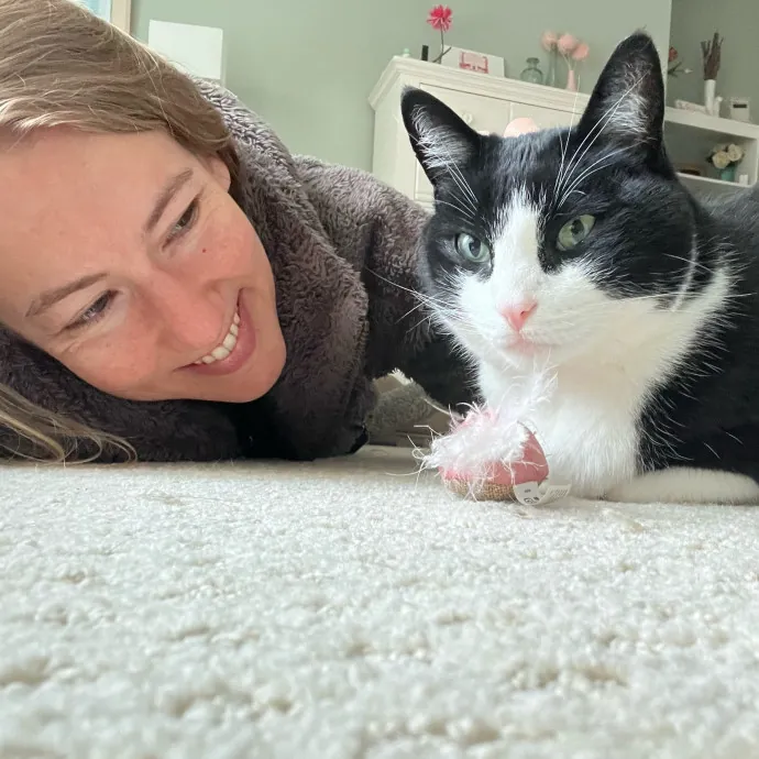 Traveling Cat Enthusiast