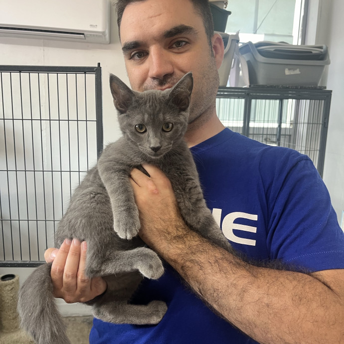 Skippy Cat Sitter photo 3