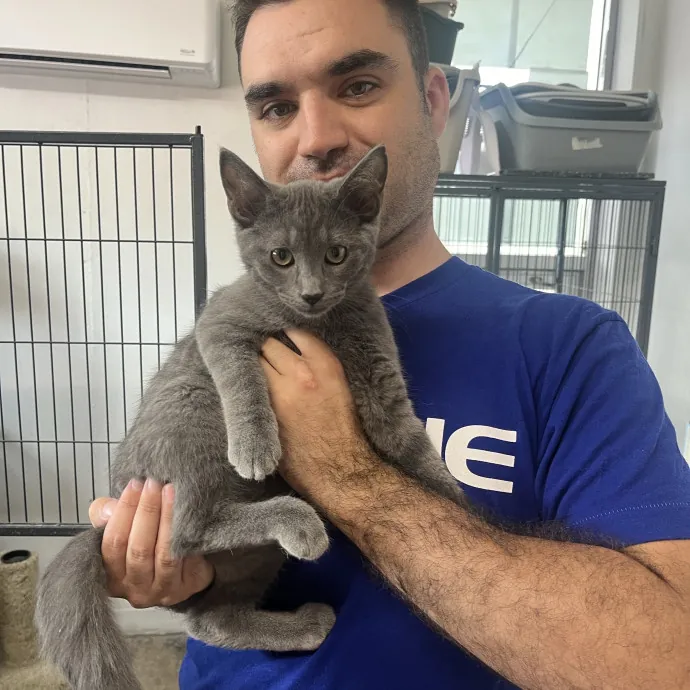 Skippy Cat Sitter photo 3