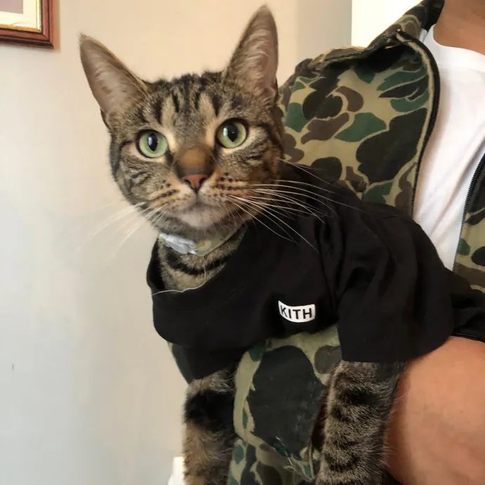 Toe Bean Central Nyc photo 3