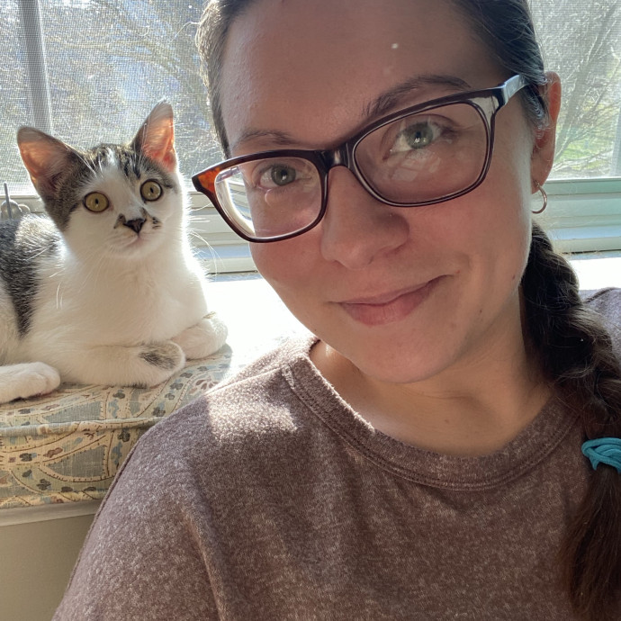 Home Is Where Your Cats Are
