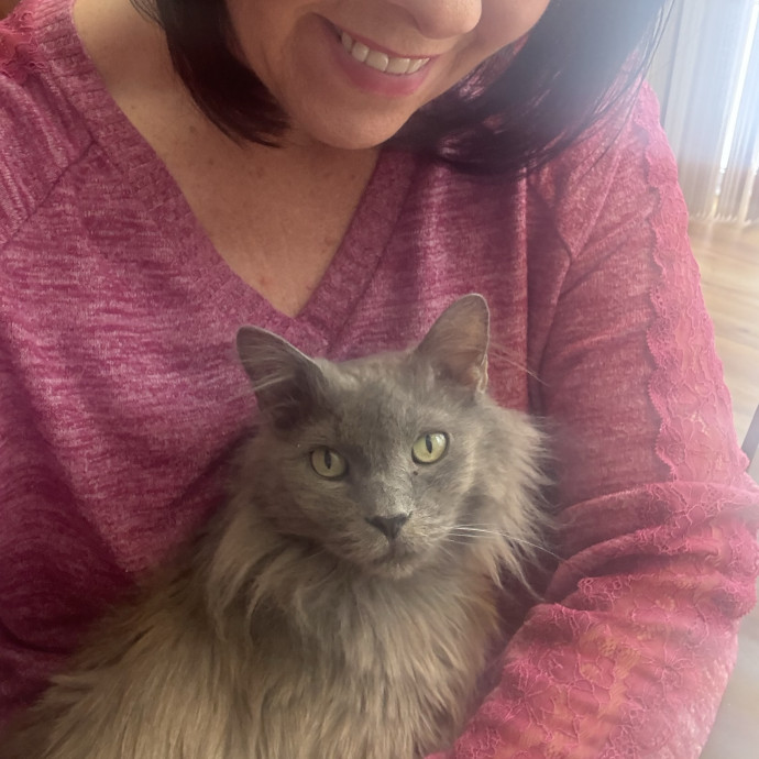 Carol's Cats - Providing Peace Of Mind