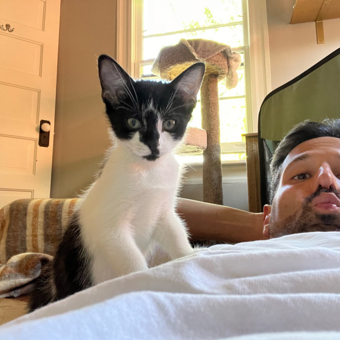 The Cat Guy photo 3