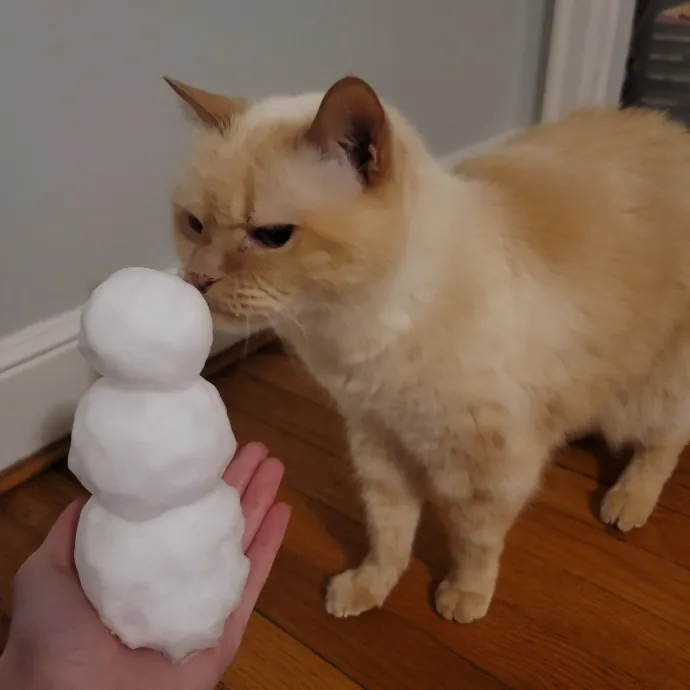 The Meow Monitor photo 4