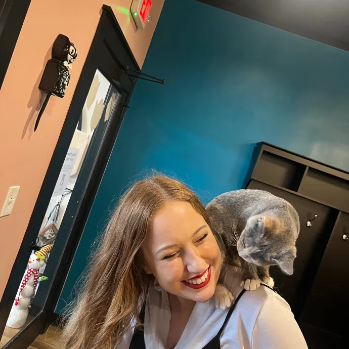 Patient Care For Shy And Sensitive Cats