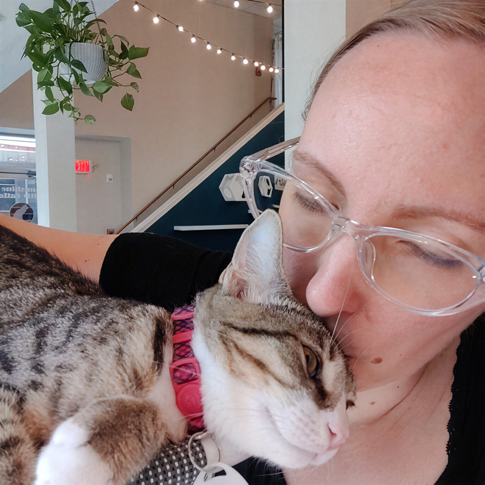 Fear Free Certified Cat Sitter