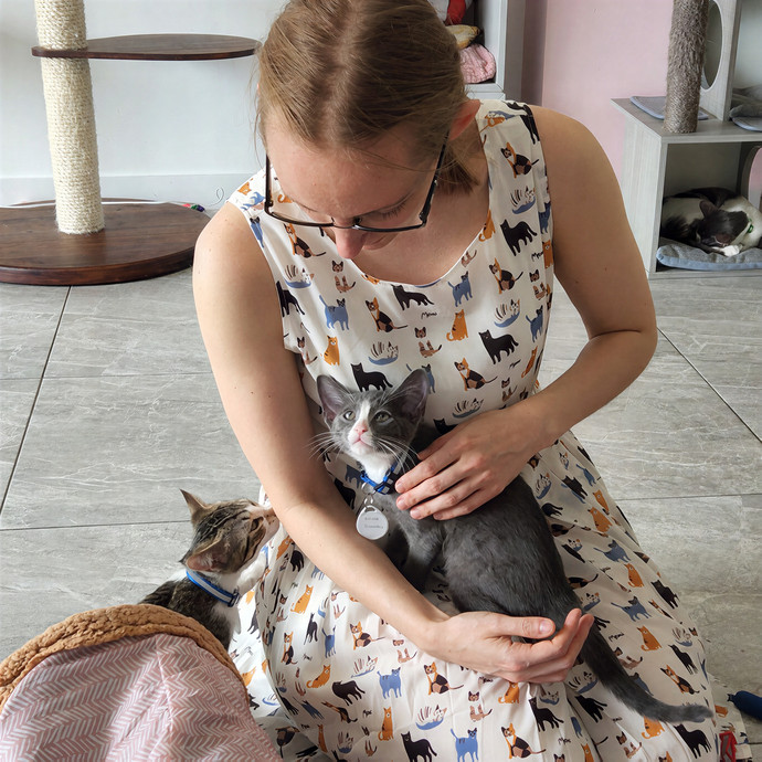 Fear Free Certified Cat Sitter