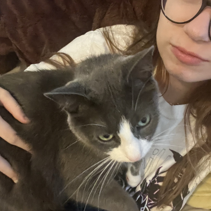 Calm Caring And Trustworthy Cat Sitter