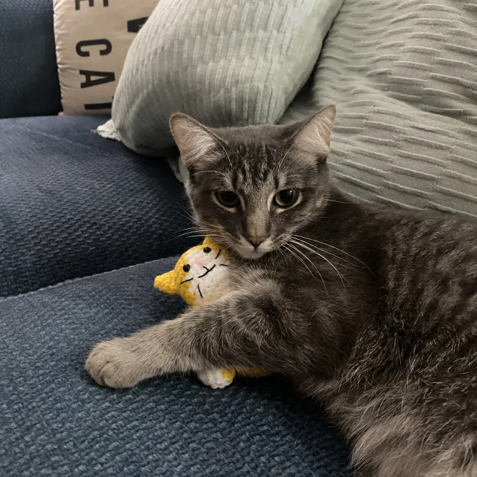Cat Mom That Spoils Them