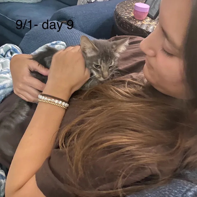Cat Mom That Spoils Them