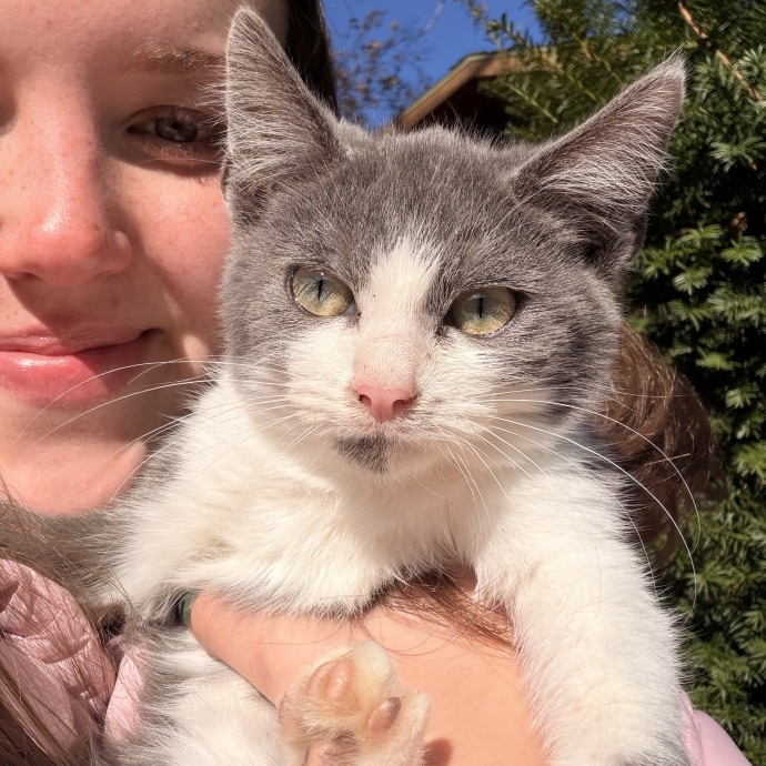 A Loving Caring And Reliable Sitter photo 2