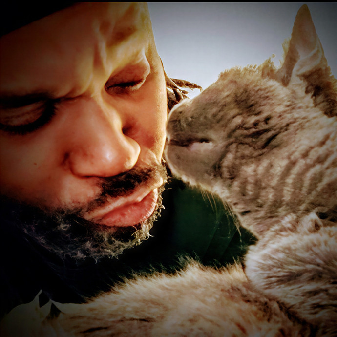 Cat Daddy David  - Brooklyn - Nyc - Lic