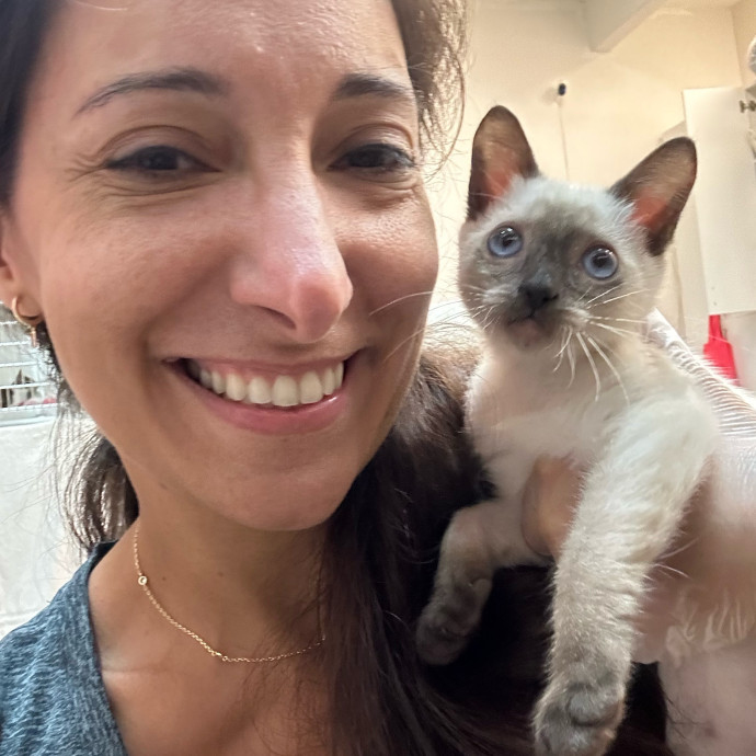 Cat Lover To Spoil Your Little Ones
