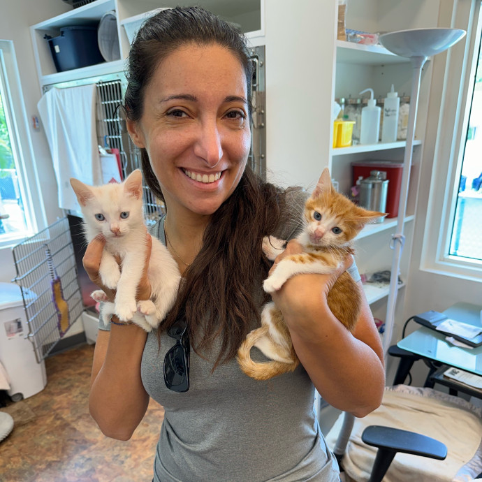 Cat Lover To Spoil Your Little Ones photo 3
